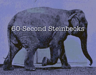60-Second Steinbeck Title
